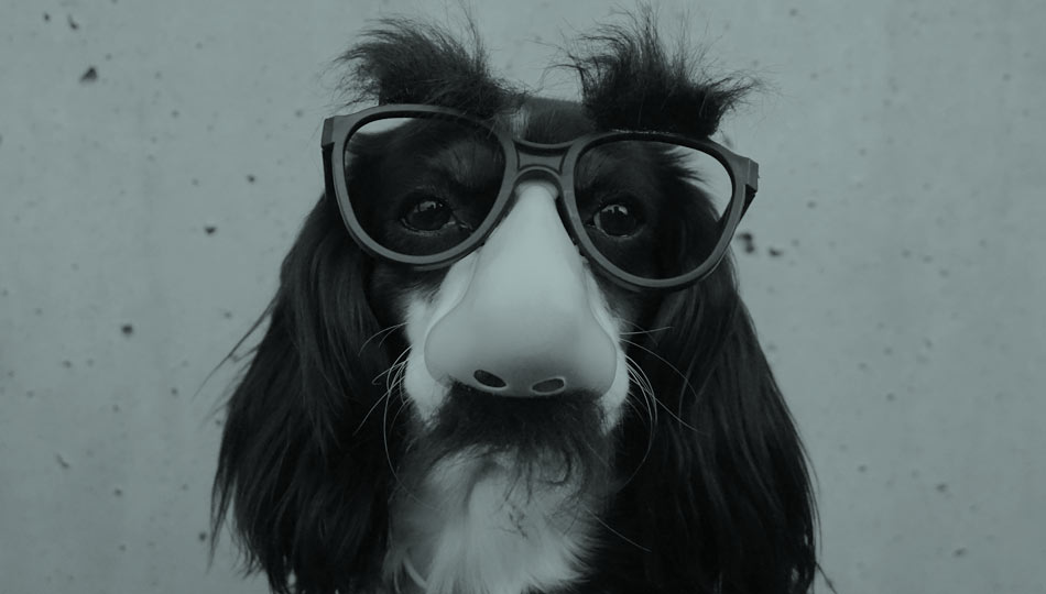 Los tuits más graciosos